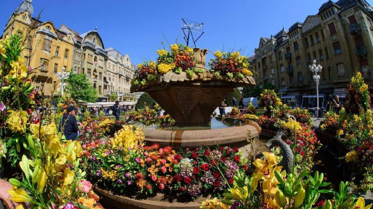 Rox Central Apartments Timisoara Luaran gambar
